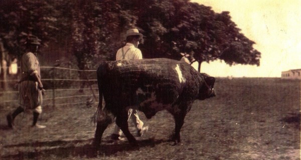 Don Tomas Hughes Gomez con el mismo toro anterior y acompañado por peon que observese usa chiripa como los de Blanes en el desembarco de los 33